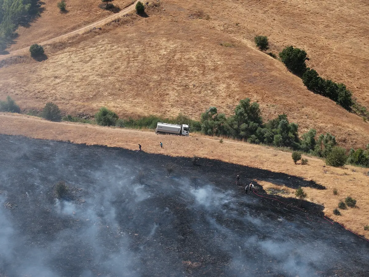 Tunceli'de otluk alandan ormana sıçrayan yangın söndürüldü